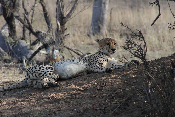 3 Day Greater Kruger National Park Adventure Safari - Reviews and Ratings