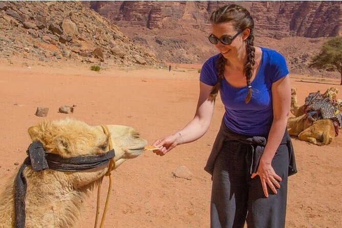 3 Day Group Tour From Amman to Petra Wadi Rum Aqaba Dead Sea - Pickup and Meeting Information