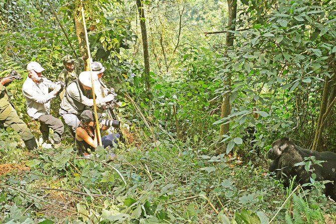 3 Day Guided Gorilla Tracking Safari At Bwindi National Park - Scheduling and Availability