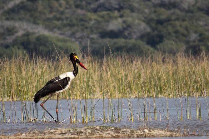 3-Day Guided Tour: Maputo Special Reserve - Key Points