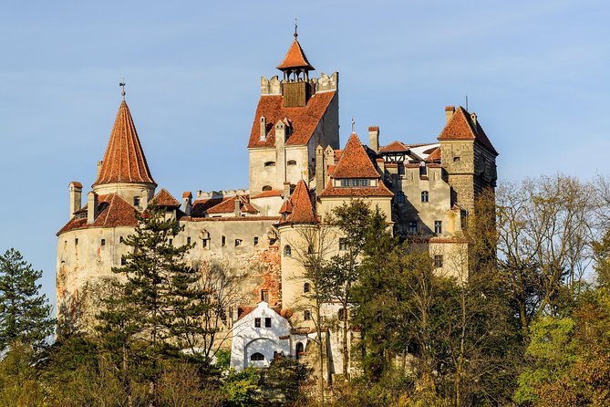 3-Day Halloween Tour in Transylvania From Cluj-Napoca - Included Activities