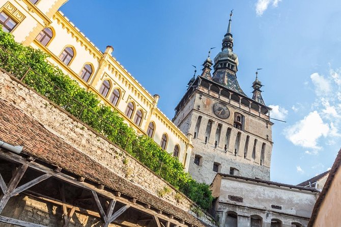3-Day Halloween Tour in Transylvania From Cluj-Napoca - Traveler Feedback