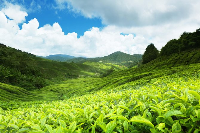 3-Day Hill Country Tour of Sri Lanka - Pickup and Dress Code