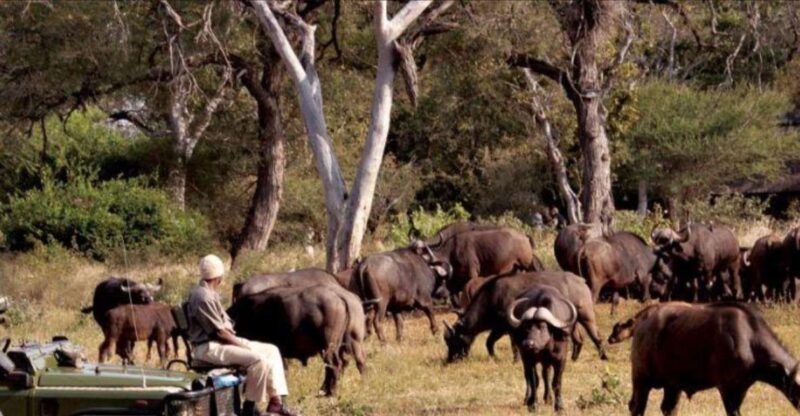 3 Day Hluhluwe & Isimangaliso Wetlands Pk Tour From Durban - Isimangaliso Wetlands Park