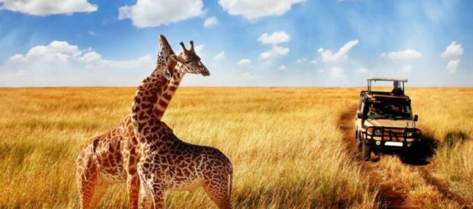 3 Day Hluhluwe & Isimangaliso Wetlands Pk Tour From Durban - Game Drives in Isimangaliso Wetlands