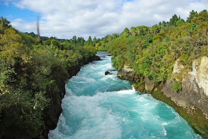 3-Day Hobbiton, Rotorua, Whakarewarewa, and Waitomo Tour - Tour Reviews and Feedback