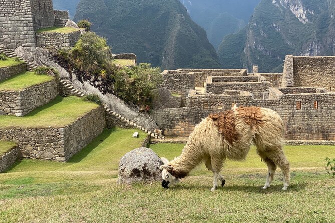 3-Day Inca Jungle Trek to Machu Picchu - Zip Lining and Hiking Segments