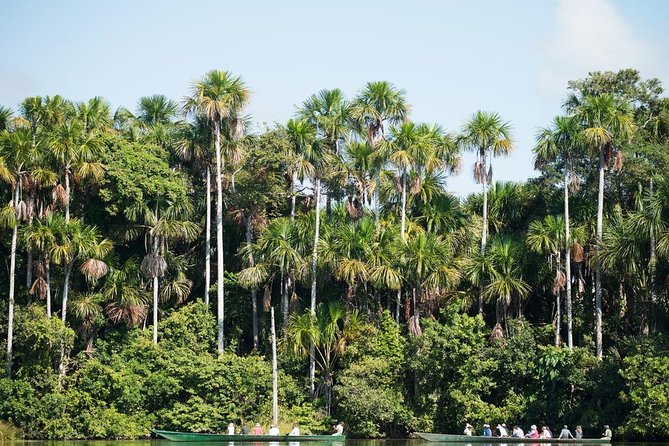 3 Day Iquitos Amazon Jungle Adventure at Ceiba Tops Lodge - Key Points