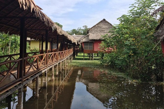 3 Day Iquitos Amazon Jungle Adventure at Heliconia Lodge - Transportation and Transfers