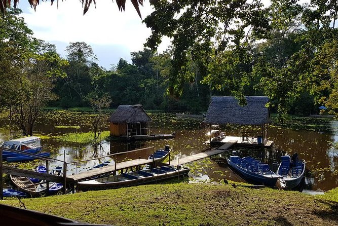3 Day Iquitos Jungle Adventure at Muyuna Lodge - Day 1: Arrival and Exploration