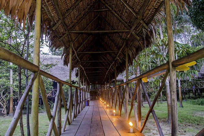3 Day Iquitos Jungle Adventure at Muyuna Lodge - Day 2: River Adventure