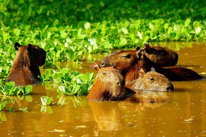 3 Day Iquitos Jungle Adventure at Muyuna Lodge - Additional Requirements