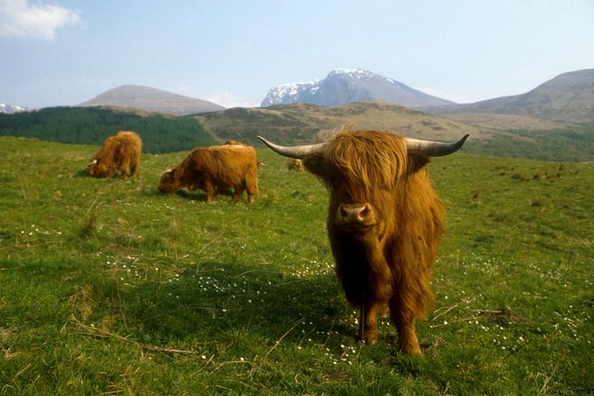 3-Day Isle of Skye, Hogwarts Express Train and Highlands Tour - Itinerary