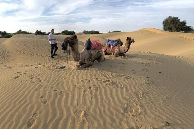 3-Day Jaisalmer Tour From Jodhpur - Reviews