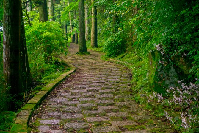 3 Day Japan Highlights Tour (Tokyo, Hakone, Nara, Osaka, Kyoto). - Tour Details
