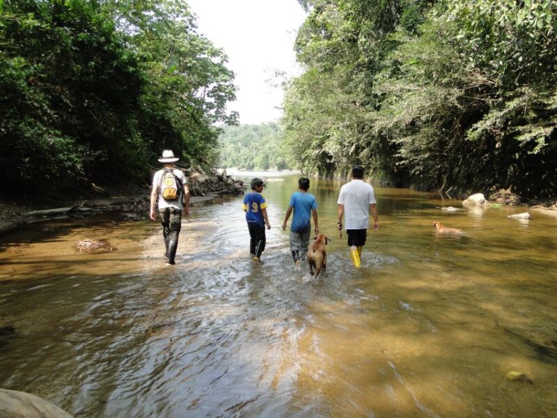3 Day Jungle Tour Expedition Amazonia Ecuador All Included - Inclusions and Highlights