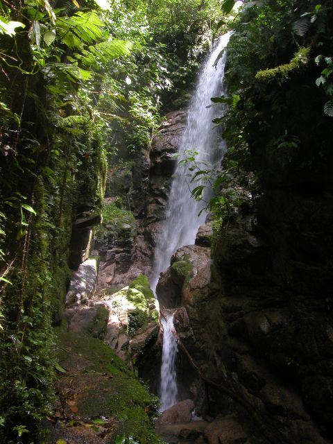 3 Day Jungle Tour Expedition Amazonia Ecuador All Included - Daily Itinerary