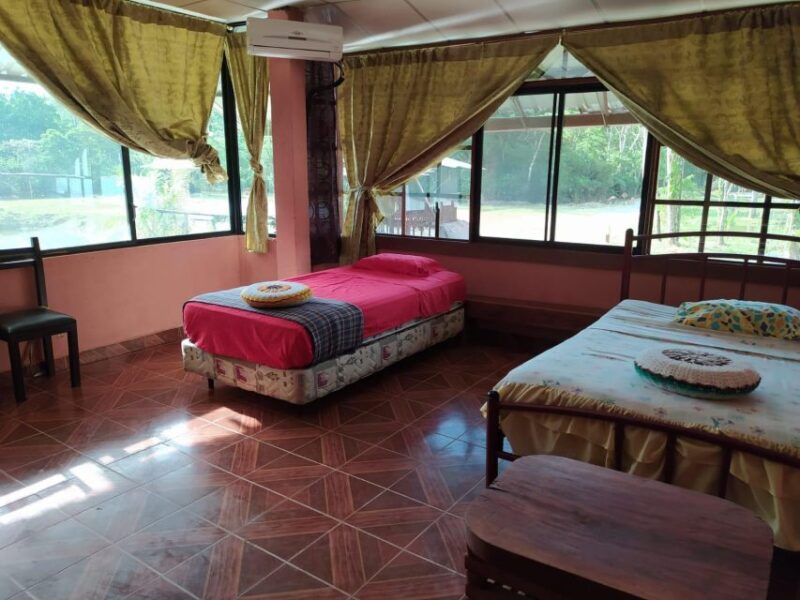 3 Day Jungle Tour Expedition Amazonia Ecuador All Included - Wildlife Observation