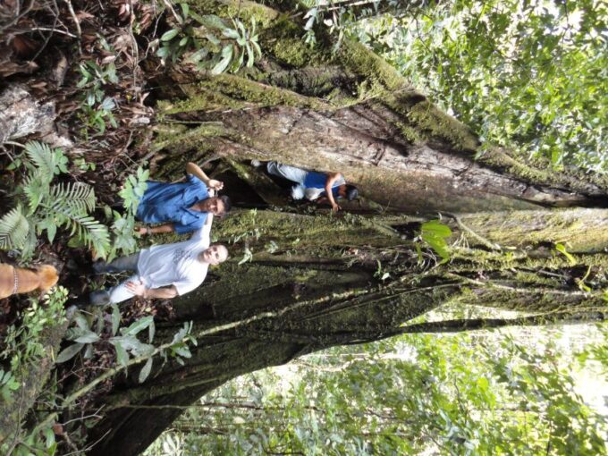 3 Day Jungle Tour Expedition Amazonia Ecuador All Included - Frequently Asked Questions