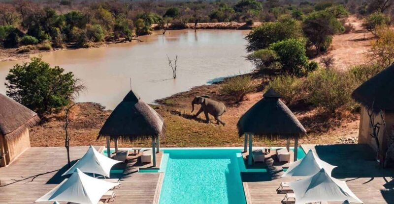 3 Day Kapama Safari From Johannesburg - Safari Experience
