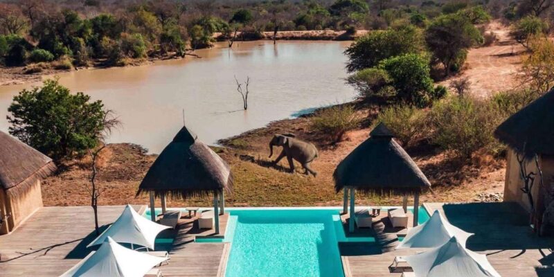 3 Day Kapama Safari From Johannesburg - Cancellation Policy
