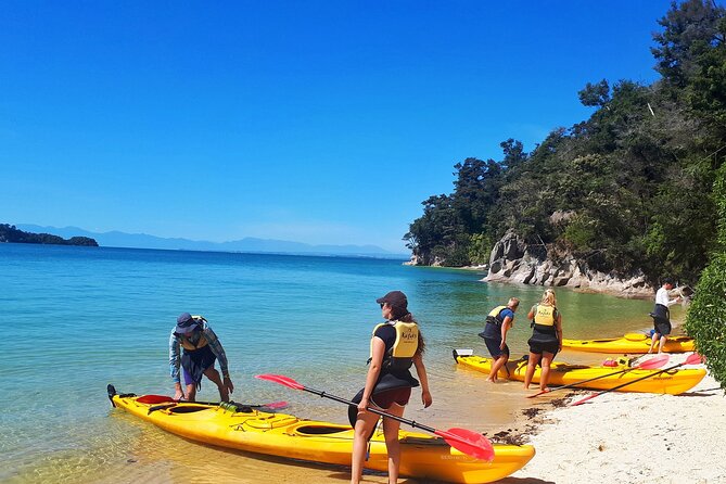 3 Day Kayak & Walk North New Zealand - Health and Safety Information