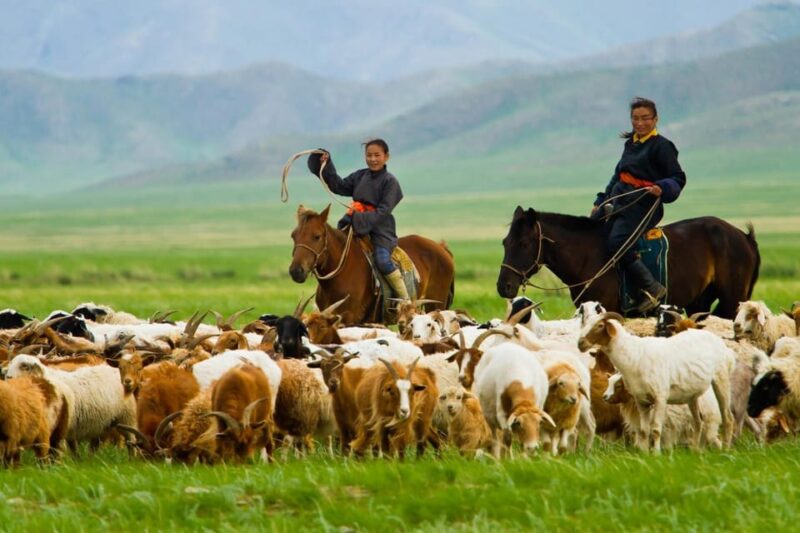 3 Day Khar Khorum Budget Tour Central Mongolia91 - Important Information