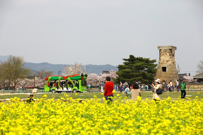 3-Day KORAIL Tour of Busan and Gyeongju From Seoul - Booking and Cancellation Policy
