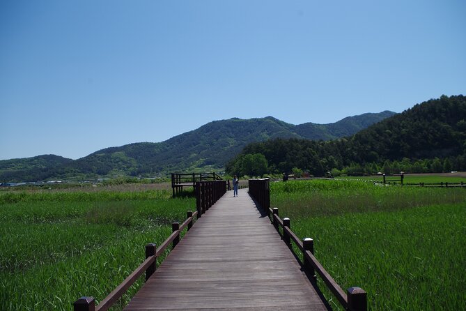3-Day Korea Western Course by K-Shuttle Tour From Seoul to Busan - Booking Information