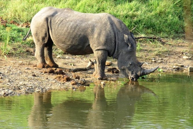 3 Day Kruger National Park and Crocodile River Safari - Cancellation Policy