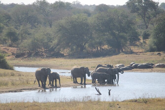 3 Day Kruger National Park and Crocodile River Safari - Pricing and Group Size