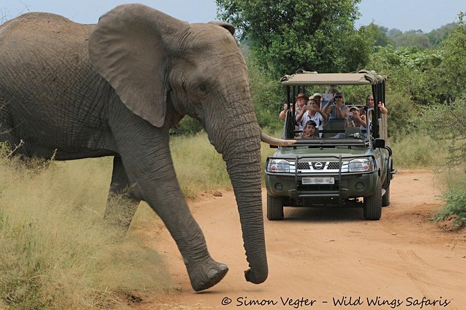 3-Day Kruger National Park Open Vehicle Safari - Tour Overview