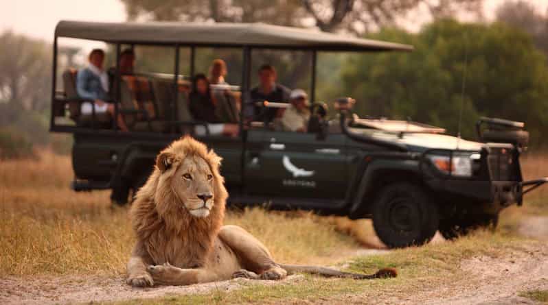 3 Day Kruger National Park Private Safari From Johannesburg - Wildlife Encounters
