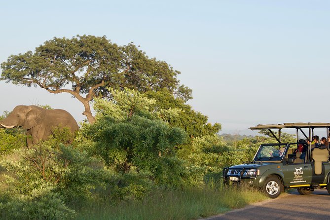 3-Day Kruger National Park Safari Including Breakfast and Dinner - Meals and Dietary Restrictions