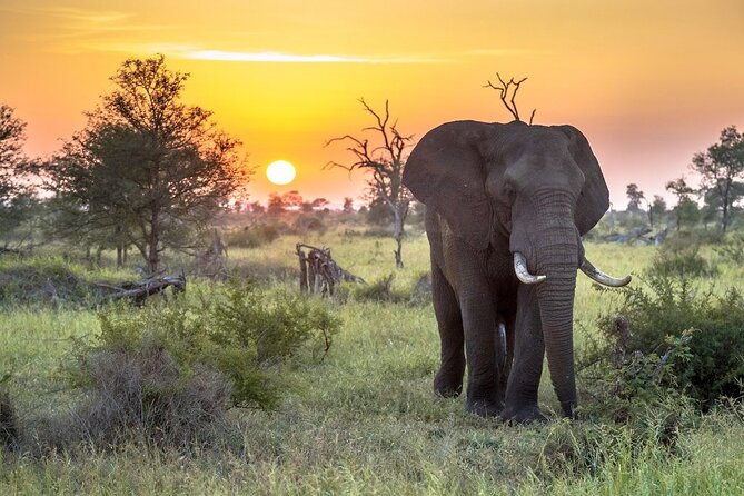 3 Day Kruger National Park Safari & Panorama Route - Witness the Wonders of Kruger