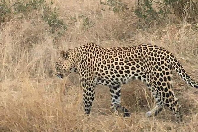 3 Day Kruger National Park Safari & Panorama Route - Reviews and Ratings