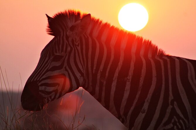 3 Day Kruger National Park Tour - Meeting and Pickup