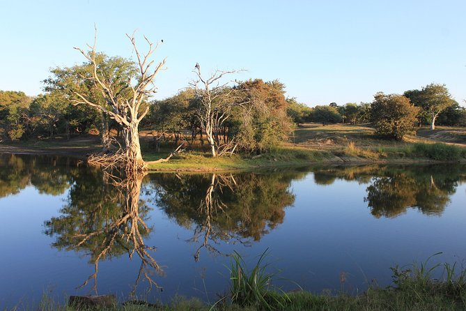 3 Day Kruger National Park Tour - Experience Highlights