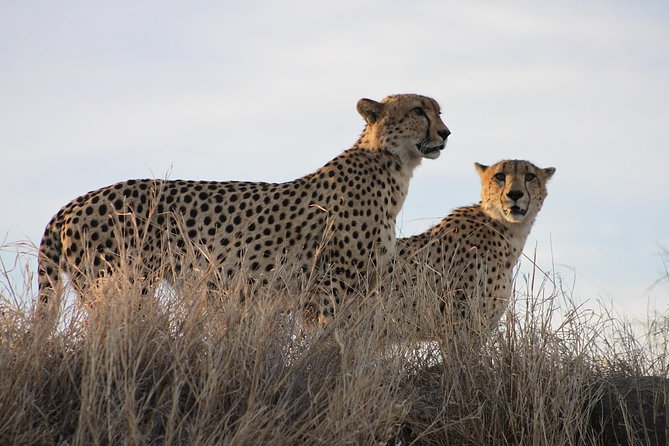 3 Day Kruger National Park Tour - Traveler Feedback
