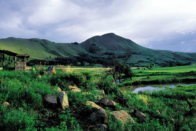 3 Day Kruger Safari With Panorama Tour From Johannesburg - Traveler Information