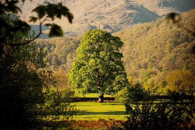 3-Day Lake District Explorer Small-Group Tour From Edinburgh - Transportation and Group Size