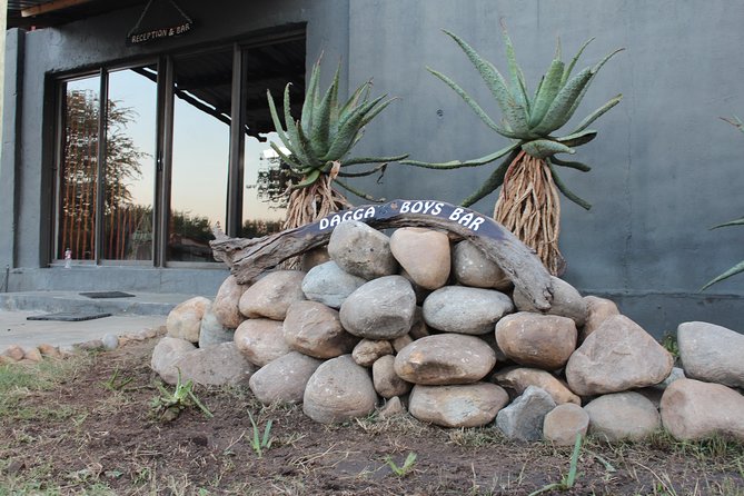 3 Day Lodge/Masango Kruger National Park Safari - Wildlife Viewing Opportunities