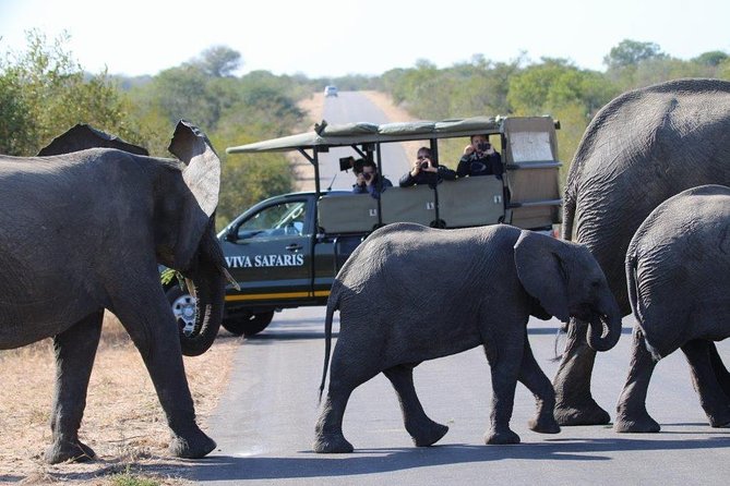 3 Day Lodge/Treehouse Kruger National Park Safari - Inclusions