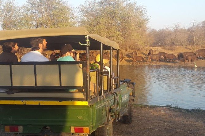 3 Day Lodge/Treehouse Kruger National Park Safari - Traveler Reviews
