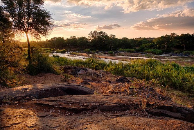 3 Day Lodge/Treehouse Kruger National Park Safari - Safari Experiences