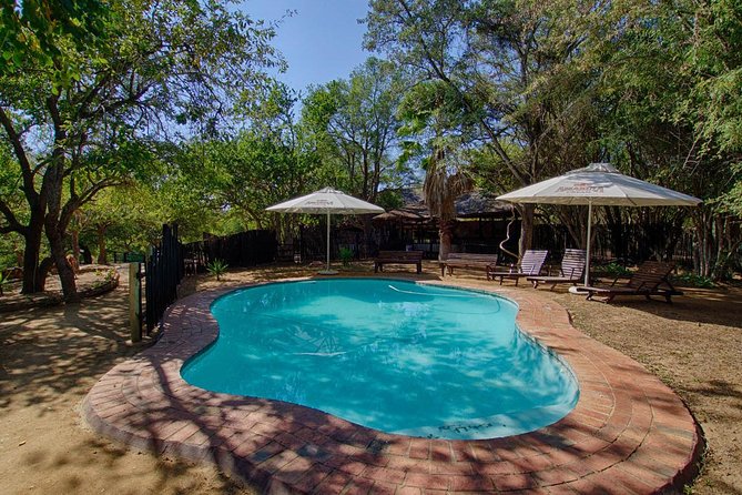 3 Day Lodge/Treehouse Kruger National Park Safari - Accommodation Options