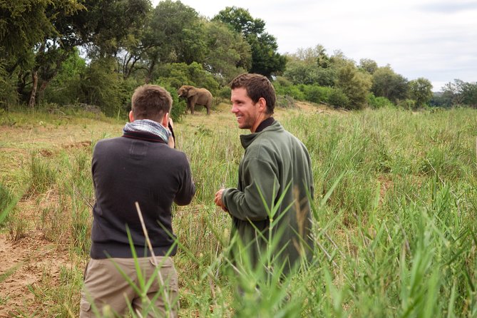 3 Day Lodge/Treehouse Kruger National Park Safari - Booking and Cancellation