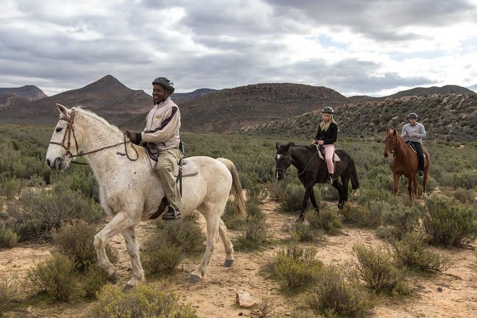 3 Day Luxury Aquila Private Game Reserve - Pickup Information