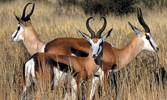 3 Day Luxury Aquila Private Game Reserve - Accessibility