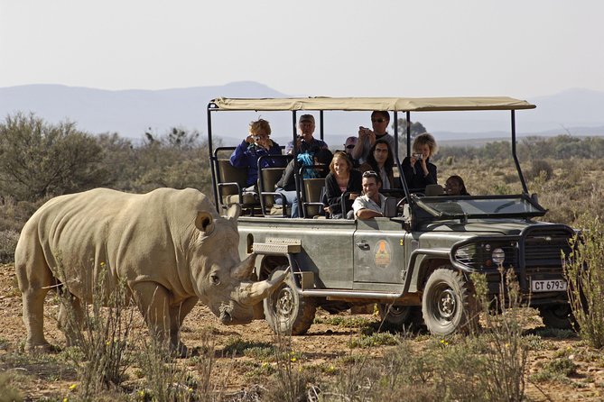 3 Day Luxury Aquila Private Game Reserve - Scenic Drive From Cape Town